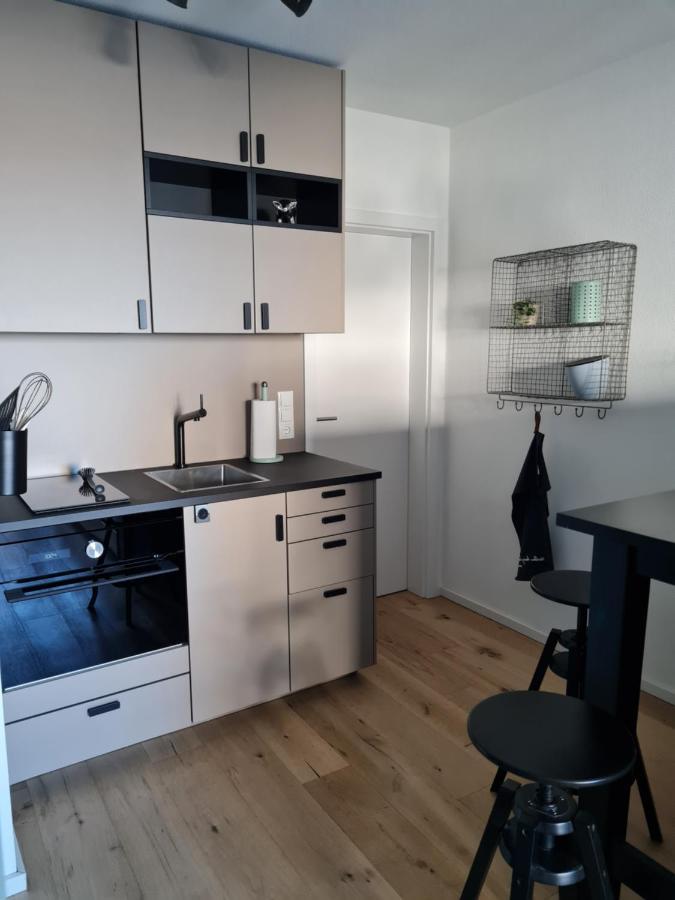 Moggele Apartment Scheidegg Luaran gambar